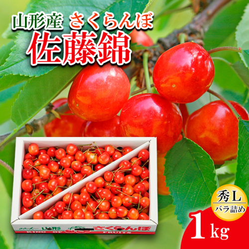 さくらんぼ 佐藤錦 Ｌ1kg バラ詰め 【令和8年産先行予約】FS25-530 159139 - 山形県山形市