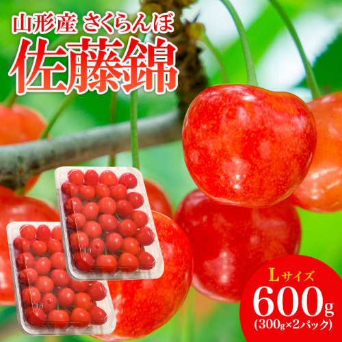 山形産 さくらんぼ 佐藤錦 L 600g(300g×2パック入) 【令和8年産先行予約】FS25-506 159146 - 山形県山形市