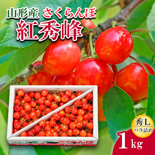 さくらんぼ紅秀峰 L 1kg バラ詰め 【令和8年産先行予約】FS25-534 159147 - 山形県山形市
