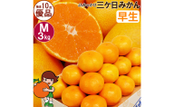 三ケ日みかん 早生【優品】Mサイズ3kg(27個前後)  ミカン 果物 くだもの フルーツ 甘い 静岡県 浜松市 果物類 柑橘類