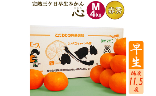 完熟三ヶ日早生みかん「心(こころ)」早生【赤秀品】Mサイズ4kg(36個前後)  ミカン 果物 くだもの フルーツ 甘い 静岡県 浜松市 果物類 柑橘類  1591496 - 静岡県浜松市