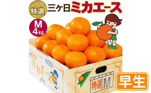 三ヶ日ミカエース 三ヶ日みかん 早生 Mサイズ 特選品4kg(36個前後)  ミカン 果物 くだもの フルーツ 甘い 静岡県 浜松市 果物類 柑橘類  1591499 - 静岡県浜松市