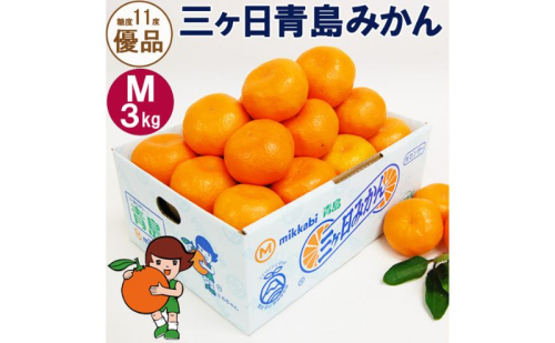 三ヶ日青島みかん【優品】Mサイズ3kg (27個前後) ミカン 果物 くだもの フルーツ 甘い 浜松市  1591502 - 静岡県浜松市