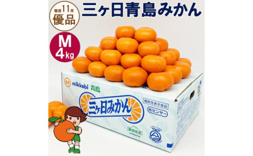 三ヶ日青島みかん【優品】Mサイズ4kg (36個前後) ミカン 果物 くだもの フルーツ 甘い 浜松市 1591503 - 静岡県浜松市