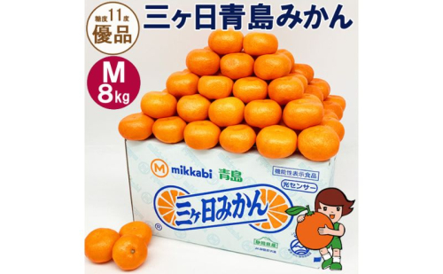 三ヶ日青島みかん【優品】Mサイズ8kg (72個前後) ミカン 果物 くだもの フルーツ 甘い 浜松市 1591504 - 静岡県浜松市