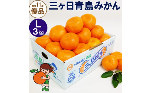 三ヶ日青島みかん【優品】Lサイズ 3kg (23個前後) ミカン 果物 くだもの フルーツ 甘い 浜松市 1591505 - 静岡県浜松市