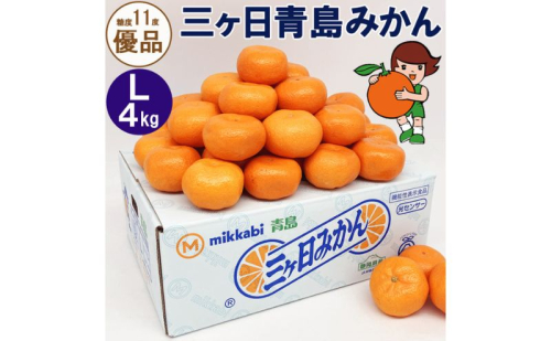 三ヶ日青島みかん【優品】Lサイズ 4kg (30個前後) ミカン 果物 くだもの フルーツ 甘い 浜松市 1591506 - 静岡県浜松市