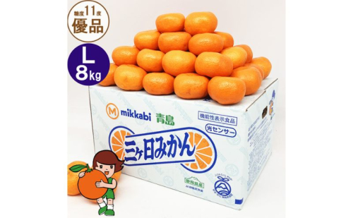 三ヶ日青島みかん【優品】Lサイズ 8kg (60個前後) ミカン 果物 くだもの フルーツ 甘い 浜松市 1591507 - 静岡県浜松市