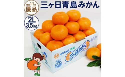 三ヶ日青島みかん【優品】2Lサイズ 3.5kg (20個前後) ミカン 果物 くだもの フルーツ 甘い 浜松市 1591508 - 静岡県浜松市