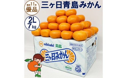 三ヶ日青島みかん【優品】2Lサイズ 7kg (40個前後) ミカン 果物 くだもの フルーツ 甘い 浜松市 1591509 - 静岡県浜松市