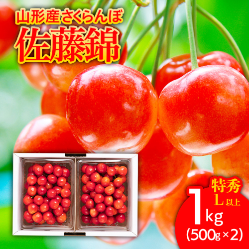 さくらんぼ 佐藤錦1kg(500g×2) 特秀 L以上 バラ詰め 【令和8年産先行予約】FS25-508 159152 - 山形県山形市