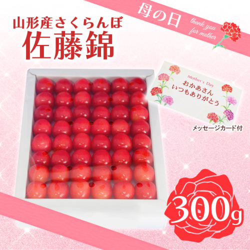 ★母の日★山形さくらんぼ 佐藤錦 特秀品 L 300g 手詰 化粧箱 メッセージ付(5/4～5/10着) 【令和8年産先行予約】FS25-546 159157 - 山形県山形市