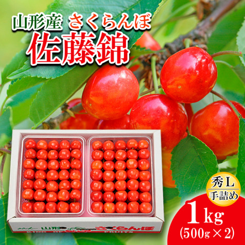 さくらんぼ 佐藤錦 Ｌ(500g×2)手詰 【令和8年産先行予約】FS25-529 159159 - 山形県山形市