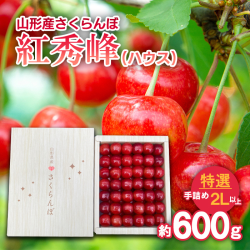 さくらんぼ 紅秀峰(ハウス)特選 手詰め 2L以上 約600g 【令和8年産先行予約】FS25-707 159161 - 山形県山形市