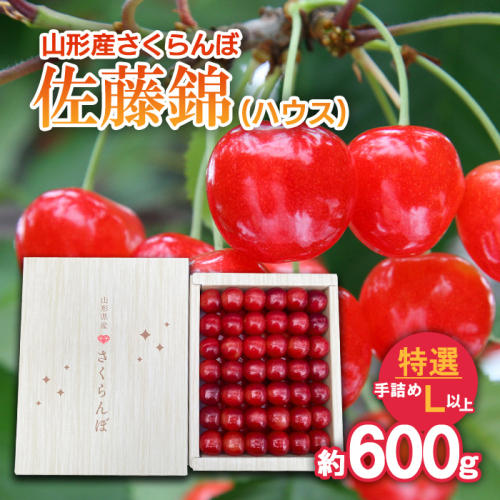 さくらんぼ 佐藤錦 (ハウス) 特選 手詰め L以上 約600g 【令和8年産先行予約】FS25-709 159162 - 山形県山形市