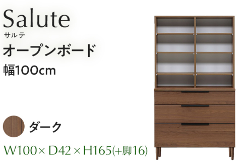 オープンボード Salute サルテ 幅100cm DK ダーク ブラウン 家具 収納 書棚 本棚 完成品 【北海道・東北・沖縄・離島不可】CN019-DK 1591680 - 福岡県大木町