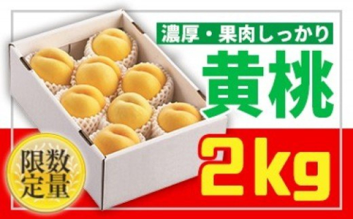 ★山形黄金色の桃★黄桃秀品2kg[柔らかくなる桃] 【令和8年産先行予約】 FS25-669 159178 - 山形県山形市