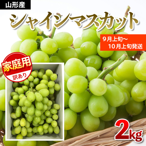 【ご家庭用】シャインマスカット 2kg入り 1箱 [前半]【令和8年産先行予約】FU19-485 159193 - 山形県山形市