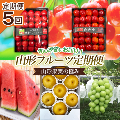 【定期便5回】山形果実の極み 【令和8年産先行予約】FU20-100 159201 - 山形県山形市