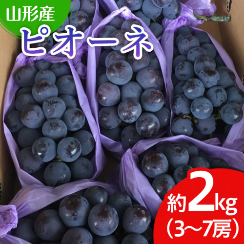 山形市産 ぶどう(ピオーネ) 秀 2kg(3〜7房)[前半] 【令和8年産先行予約】FU19-697 159215 - 山形県山形市
