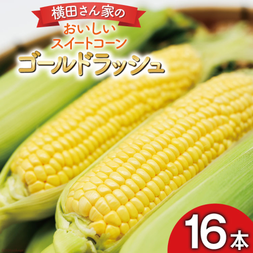 【期間限定発送】 とうもろこし 16本 横田さん家の美味しいスイートコーン ゴールドラッシュ [横田農園 長崎県 雲仙市 item1946] コーン トウモロコシ 野菜 1592611 - 長崎県雲仙市