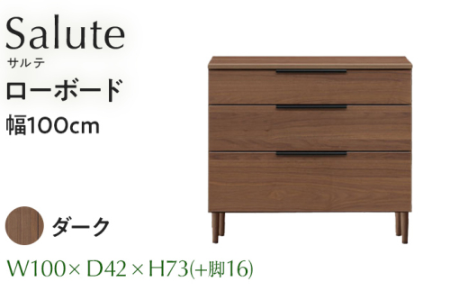 ローボード Salute サルテ 幅100cm DK ダーク ブラウン 家具 収納 書棚 本棚 完成品 【北海道・東北・沖縄・離島不可】CN020-DK 1592618 - 福岡県大木町