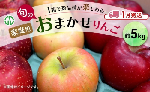 りんご 【 1月発送 】 家庭用 旬のりんご 品種おまかせ 約 5kg 2品種～4品種 1593027 - 青森県鶴田町