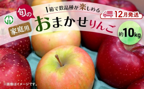 りんご 【 12月発送 】 家庭用 旬のりんご 品種おまかせ 約 10kg 2種類～4種類 1593030 - 青森県鶴田町