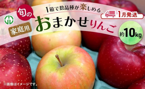 りんご 【 1月発送 】 家庭用 旬のりんご 品種おまかせ 約 10kg 2種類～4種類 1593031 - 青森県鶴田町