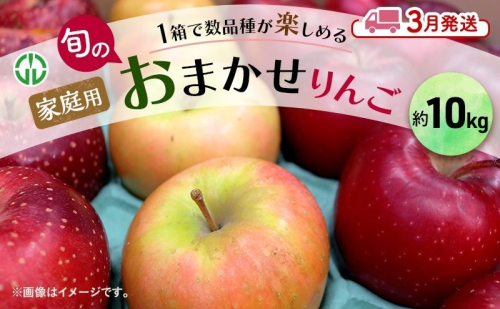 りんご 【 3月発送 】 家庭用 旬のりんご 品種おまかせ 約 10kg 2種類～4種類 1593033 - 青森県鶴田町