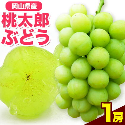 岡山県産桃太郎ぶどう（1房680g以上）1房入り　令和7年産先行受付《9月上旬-10月中旬頃出荷》【配送不可地域あり】 1593633 - 岡山県笠岡市