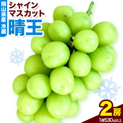 岡山県産　冷蔵シャインマスカット（1房530g以上2房入り）令和7年度産先行受付《11月中旬-12月中旬頃出荷》【配送不可地域あり】 1593679 - 岡山県笠岡市