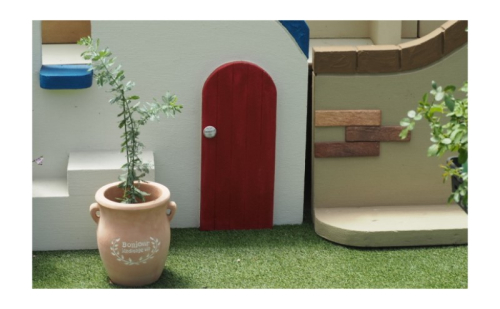 苗木 ミモザアカシア 鉢植え つぼ小 植物 ガーデン インテリア ※配送不可:北海道、沖縄、離島 1593782 - 福岡県朝倉市