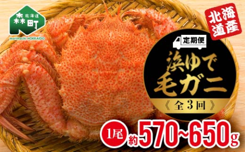 『定期便』 【北海道産】 浜ゆで毛ガニ×1尾全3回＜道産ネットミツハシ＞ 毛ガニ 毛蟹 かに カニ ふるさと納税 北海道 mr1-0355 159610 - 北海道森町
