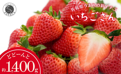 【眺めてうっとり、かじって甘い！】JAの「いちごさん」240g✕6パック【JA伊万里_園芸】いちご イチゴ 苺 いちごさん 果物 6パック 小分け 佐賀 佐賀いちご 甘い 酸味 12000円 1.2万円 F12-52 159665 - 佐賀県有田町