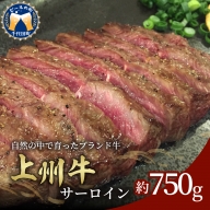 牛肉 ステーキ サーロイン 【上州牛】 750g 群馬 県 千代田町