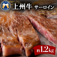 牛肉 サーロイン 【上州牛】 1.2kg (600g×2パック) 群馬 県 千代田町