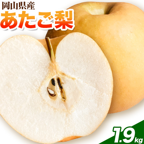 岡山県産 あたご梨 1.9kg以上 大玉2個入り（1玉950g以上）令和7年産先行受付《11月下旬-12月中旬頃出荷》 1597649 - 岡山県笠岡市