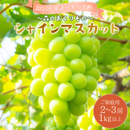 2025年発送分 先行予約＜～森のおくりもの～＞朝採り直送！シャインマスカット 1kg以上2～3房（ご家庭用）【025-a017】 1597653 - 岡山県鏡野町