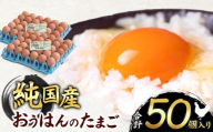 信州産純国産鶏「おうはん」のたまご　50個入り｜ ふるさと納税 信州 鶏 卵 たまご 長野県 松本市 美味しい 種類豊富 特別