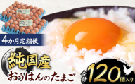 【4ヵ月定期便】信州産純国産鶏「おうはん」のたまご　30個入り｜ ふるさと納税 信州 鶏 卵 たまご 長野県 松本市 美味しい 種類豊富 特別