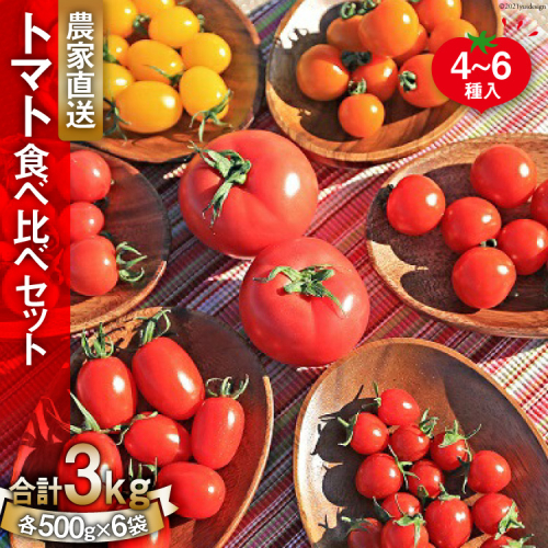 新鮮 採れたて トマト 食べ比べセット 3kg（500g×6袋）/ マルヨシ園芸 / 山梨県 中央市【2026年1月上旬-5月下旬発送予定】 159833 - 山梨県中央市