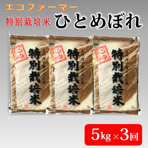 令和6年産【定期便3回】エコファーマーのひとめぼれ5kg×3回（計15kg） 1598424 - 山形県三川町