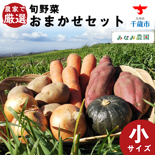 【2025年秋発送】農家で厳選！ 秋野菜 おまかせ セット （小） 野菜 じゃがいも かぼちゃ にんじん 玉ねぎ ナス さつまいも 千歳 北海道 159842 - 北海道千歳市