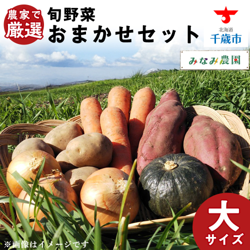 【2025年秋発送】農家で厳選！ 秋野菜 おまかせ セット （大） 野菜 じゃがいも かぼちゃ にんじん 玉ねぎ ナス さつまいも 千歳 北海道 159843 - 北海道千歳市