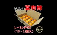 岐阜の富有柿3.5kg（10個～12個入）