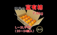 岐阜の富有柿7.0kg（20個～24個入）