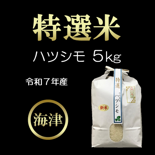 【令和7年産/白米】特選米ハツシモ（５kg） 159935 - 岐阜県海津市
