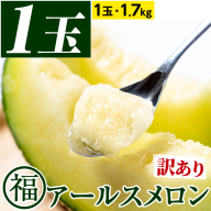 【0111109a】＜訳あり＞マル福の高級アールスメロン(1玉・1.7kg)メロン フルーツ 果物 果実 1キロ 数量限定 期間限定【マル福園芸組合】