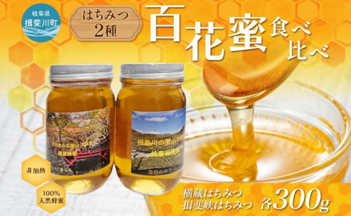 はちみつ 2種 セット 揖斐峡はちみつ 横蔵はちみつ 計600g 各300g 瓶 蜂蜜 ハチミツ 非加熱 天然 100% 百花蜜 純粋 生はちみつ 国産 ハニー お取り寄せ ギフト プレゼント 贈答 贈り物 岐阜県 揖斐川町 送料無料 蜂とステンド工房揖斐川 1602601 - 岐阜県揖斐川町